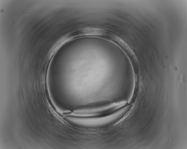 X0000086081417200703231352