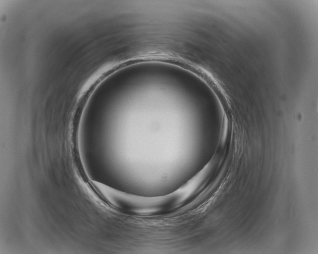 X0000086081422200703231353