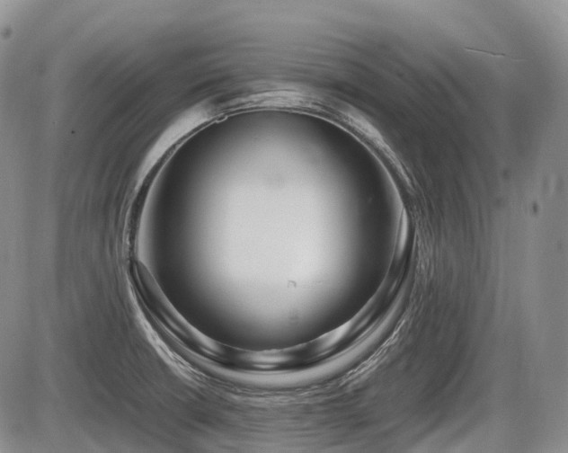 X0000086081426200703231353
