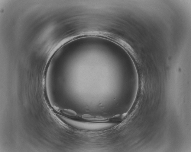 X0000086081428200703231353