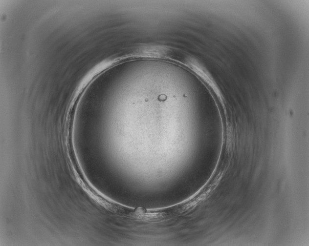 X0000086081437200703231353