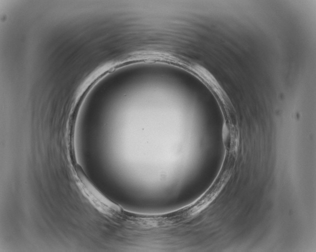 X0000086081438200703231353