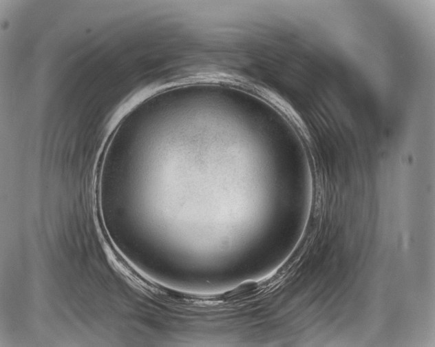 X0000086081439200703231353