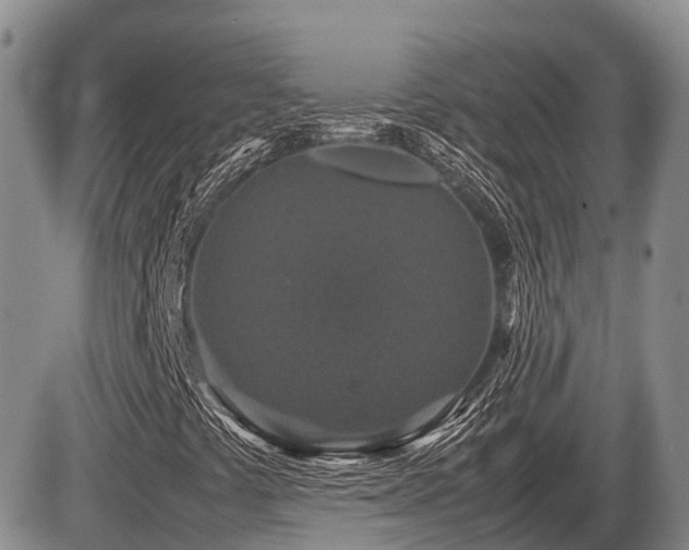 X0000086081441200703231352