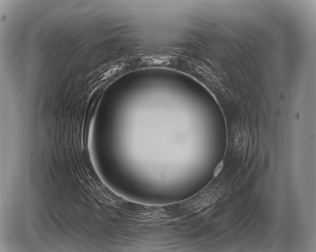 X0000086081442200703231352