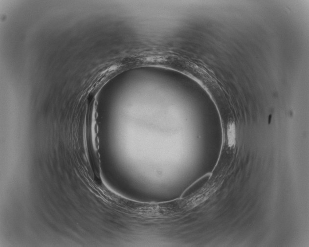 X0000086081444200703231352