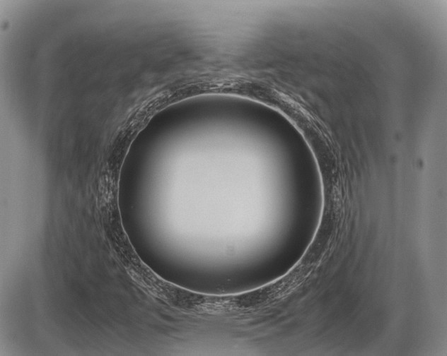 X0000086081447200703231352