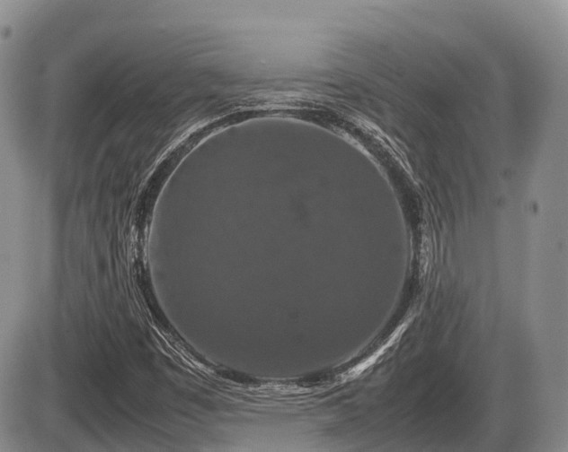 X0000086081449200703231352