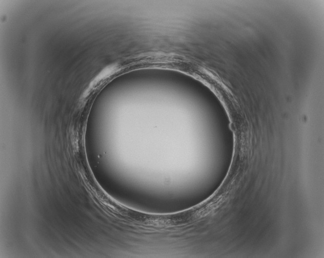 X0000086081451200703231352