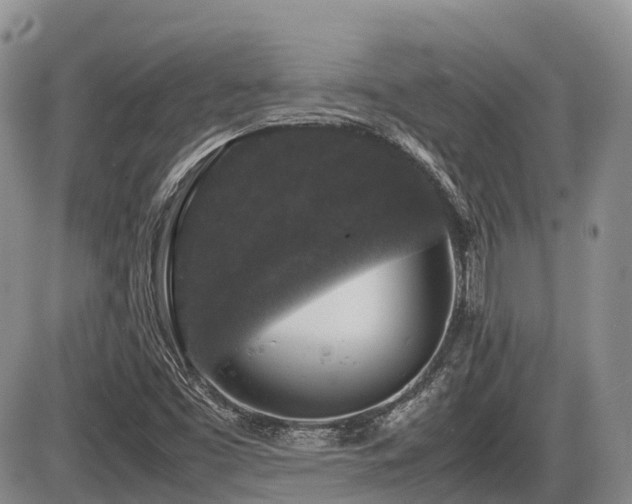 X0000086081453200703231352