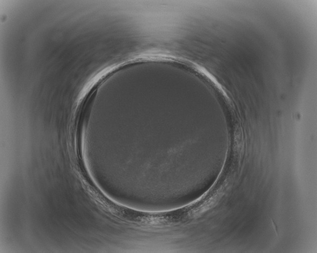 X0000086081461200703231352