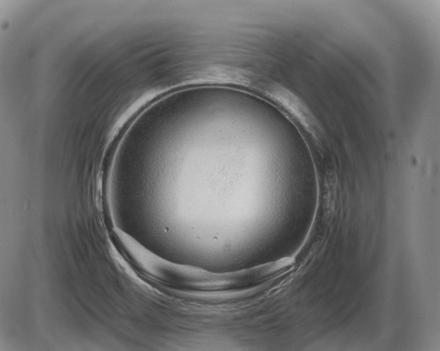 X0000086081468200703231352