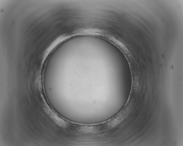 X0000086081470200703231352