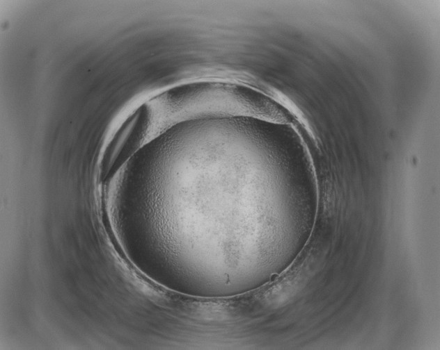 X0000086081472200703231352