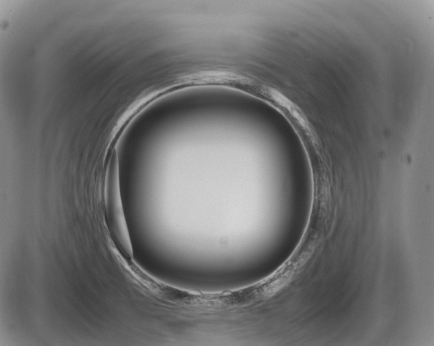 X0000086081473200703231352