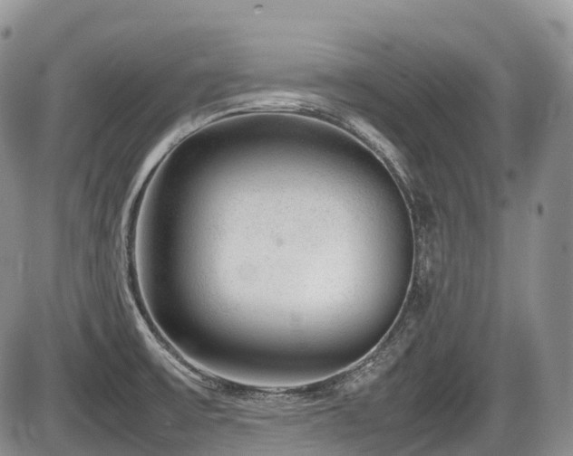 X0000086081475200703231352
