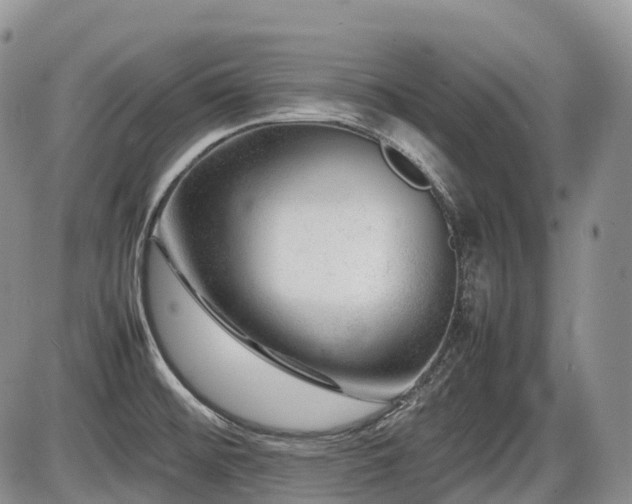 X0000086081476200703231352