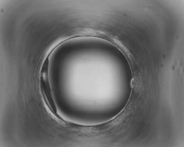X0000086081479200703231351