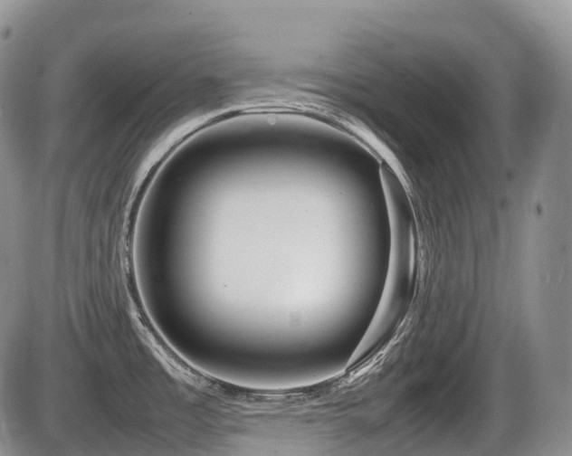X0000086081485200703231351