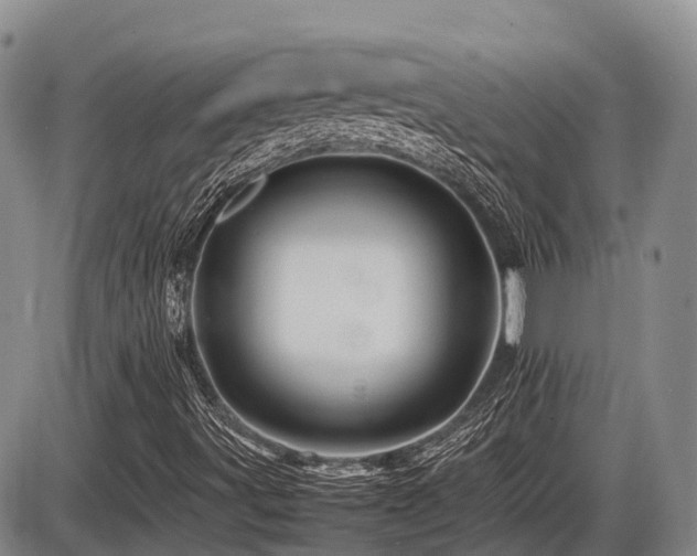 X0000086081491200703231351
