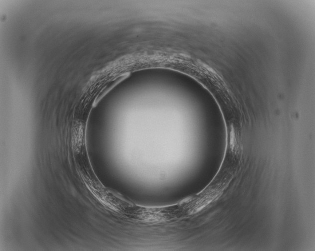 X0000086081492200703231351