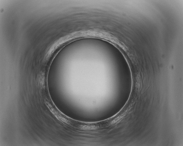 X0000086081499200703231351