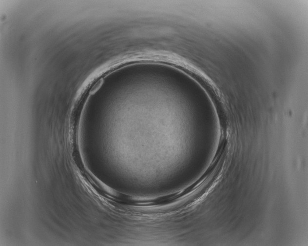 X0000086081506200703231351