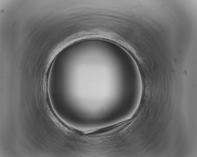 X0000086081516200703231351