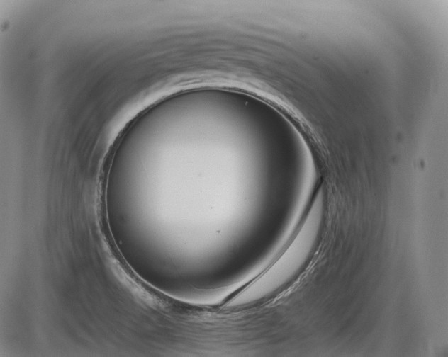 X0000086081518200703231351