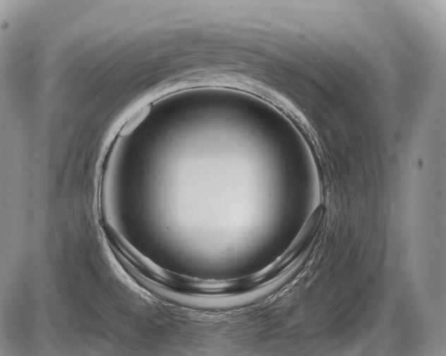 X0000086081528200703231351
