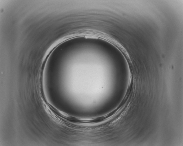 X0000086081530200703231351