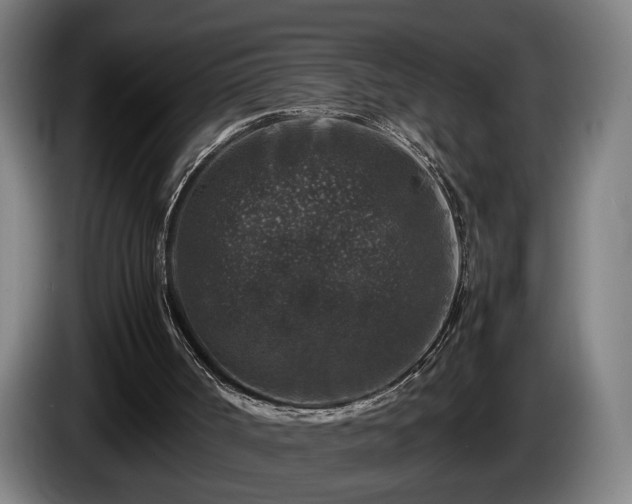 X0000086080002200703301139