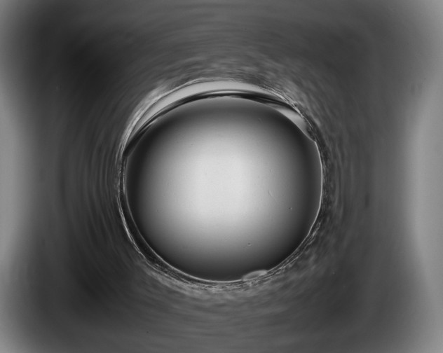 X0000086080003200703301139