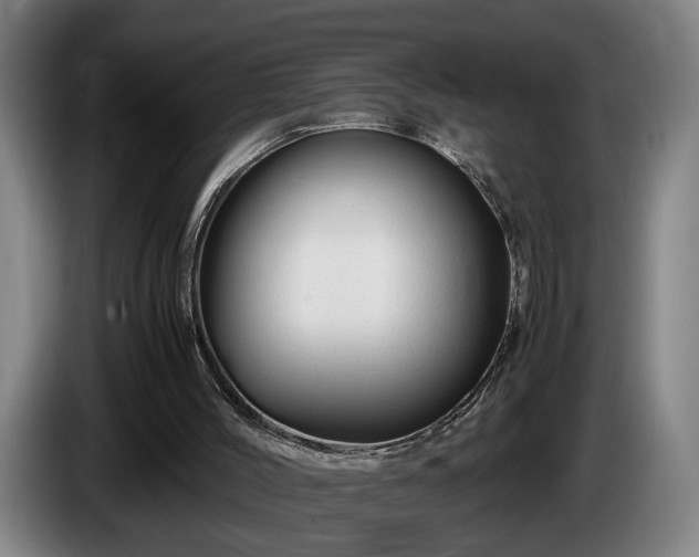 X0000086080004200703301139