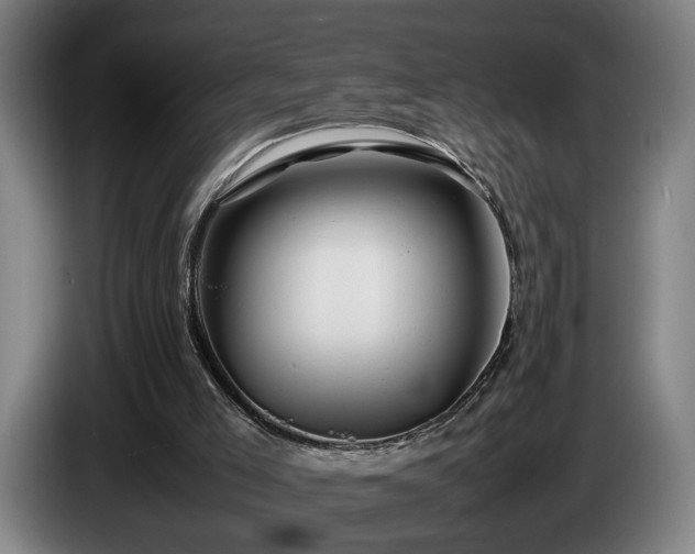 X0000086080005200703301139