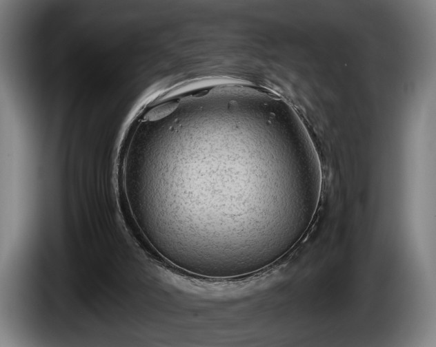 X0000086080006200703301139