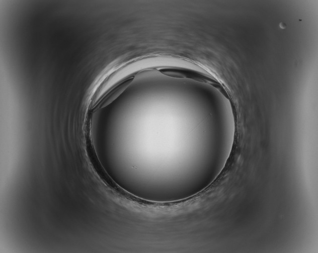 X0000086080007200703301139