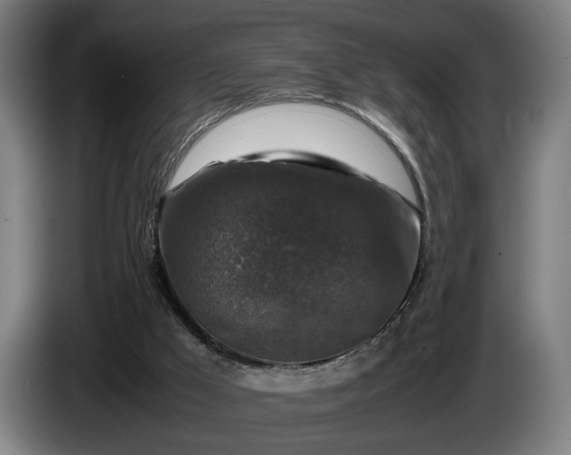 X0000086080009200703301139