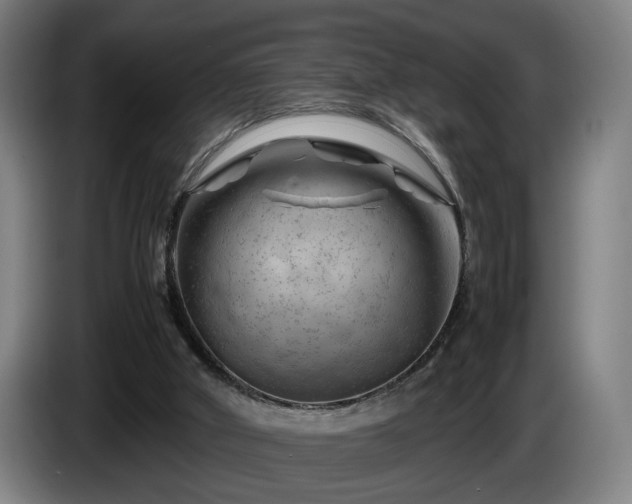 X0000086080010200703301139