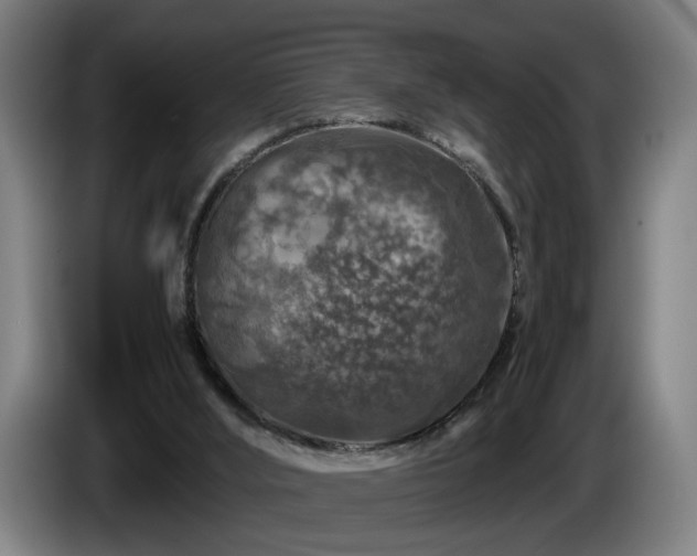 X0000086080012200703301139