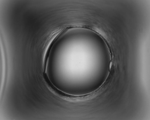 X0000086080013200703301139