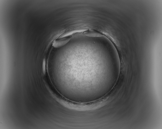 X0000086080014200703301139