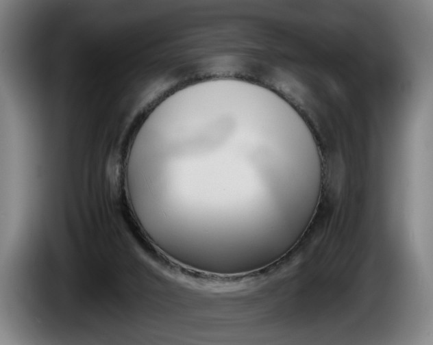 X0000086080016200703301139