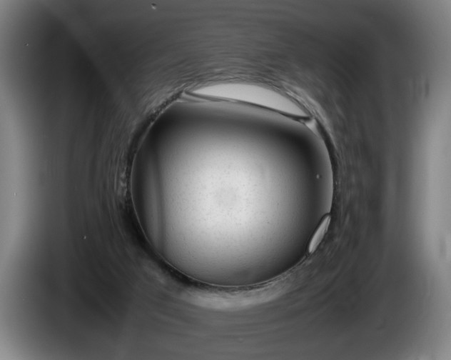 X0000086080017200703301139