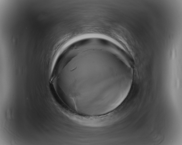 X0000086080019200703301139