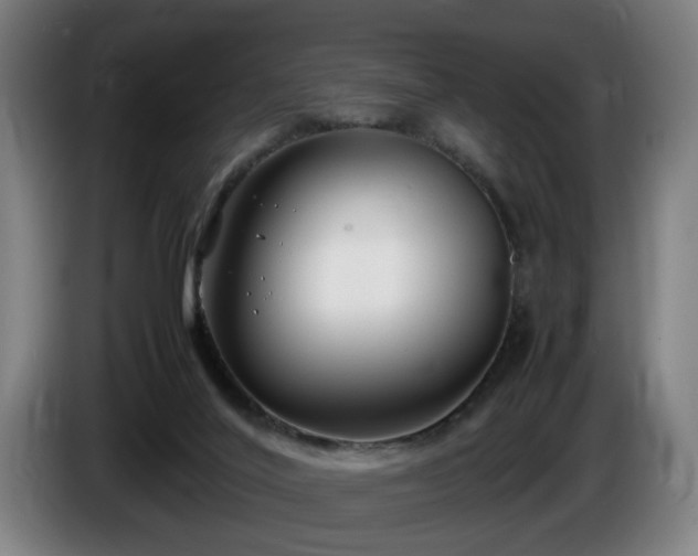 X0000086080020200703301139