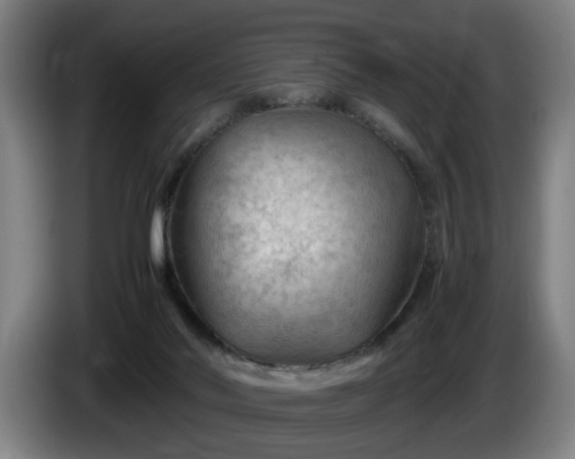 X0000086080022200703301139