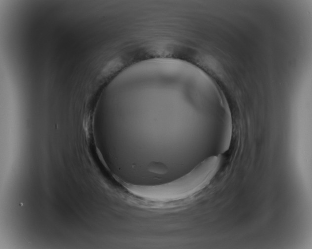 X0000086080023200703301138