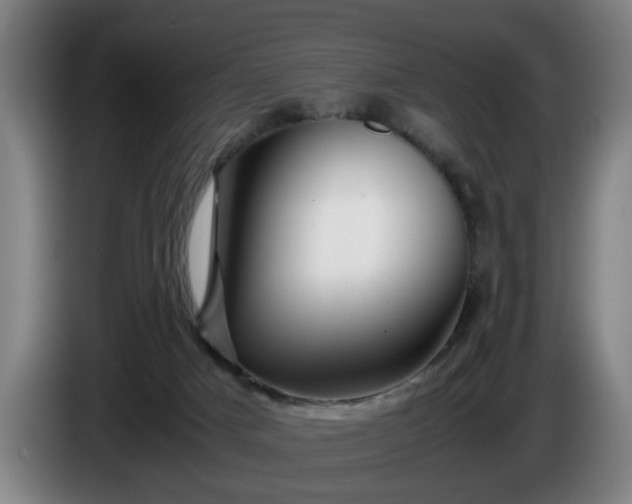 X0000086080025200703301138