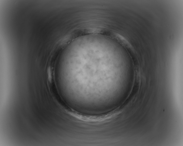 X0000086080026200703301138